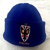 Royal blue Fleece Beanie