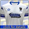 Adult Away Shirt (2014-16)